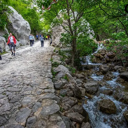Mariva * Starigrad Paklenica